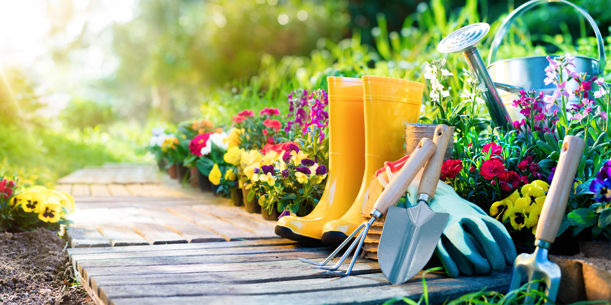 Get Your Garden Ready For Spring